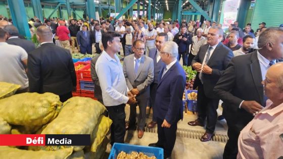 National Wholesale Market à Wooton : la contribution obligatoire au Small Planters Welfare Fund agace 