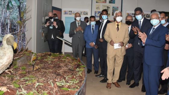 Dévoilement  d’une application démontrant des Dodos animés en taille réelle : «Huit plans d’aide destinés aux artistes ont été mis en place», dit le PM