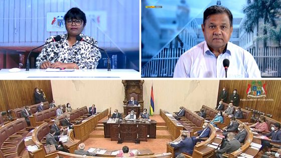 Parlement : la baisse des arrivées touristiques au cœur de la PNQ