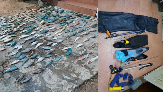  Pêche illégale au Morne : 280 poissons et dix poulpes saisis