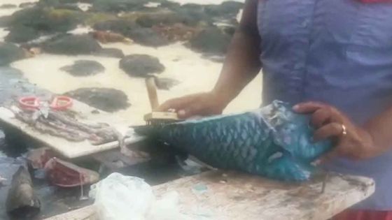 Confinement partiel : le poisson frais de retour sur la table de Lada