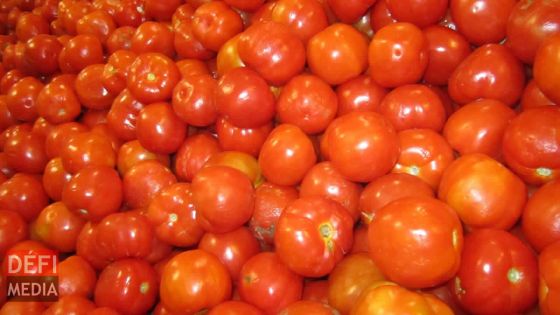 Trou-d’Eau-Douce : 500 kilos de pommes d’amour volés