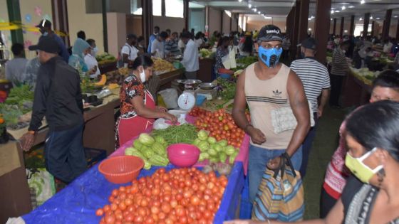 Mercuriale : le prix de la pomme d’amour reprend l’ascenseur