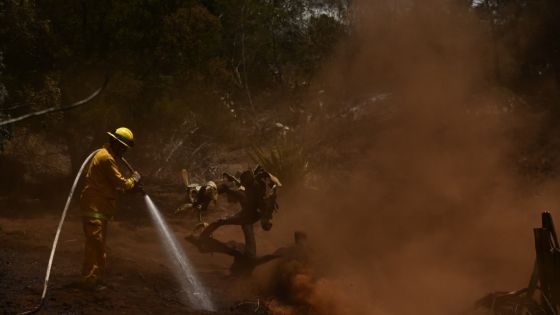 Le bilan des incendies à Hawaï atteint 93 morts et devrait encore augmenter