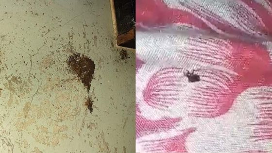 Bois-Mangues, Plaine-des-Papayes : des punaises se piquent de déranger des vigiles  