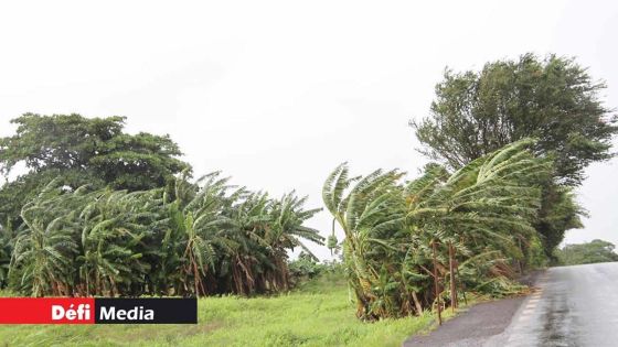 Prévisions météo pour ce jeudi : des rafales de 70 km/h attendues