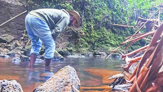 Raja Vencatasawmy : L’homme qui ramène la rivière à la maison