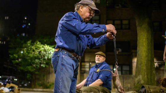 «Attrape-le !» : bénévoles et chiens traquent les rats new-yorkais