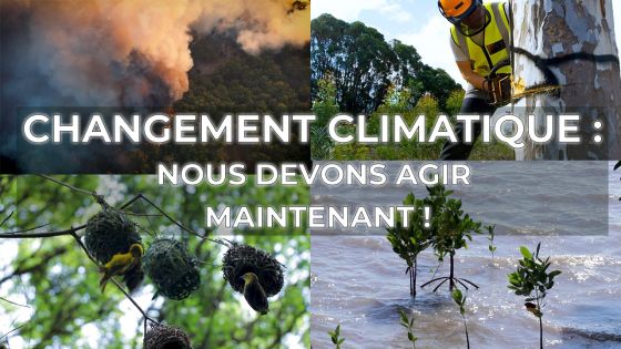 Changement climatique : nous devons agir maintenant !