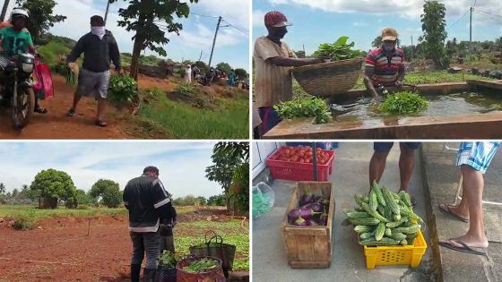 Les consommateurs à l’assaut... des plantations