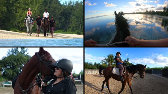 [Reportage] Le cheval, compagnon de route pour se sentir bien dans sa peau 