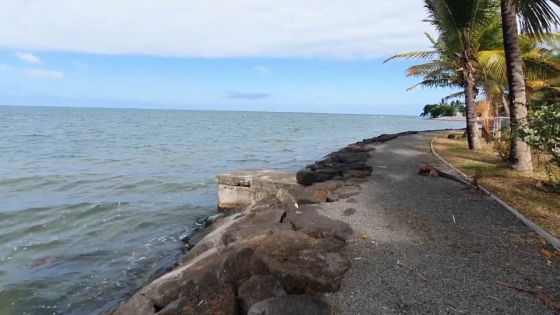 Des requins sèment la terreur dans le Sud-Est