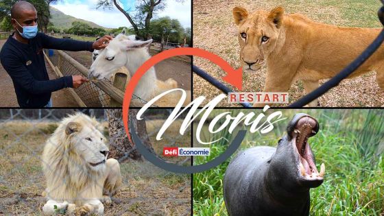 [Restart Moris] Casela mise sur de nouvelles activités pour se relancer