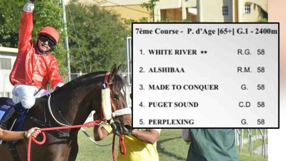 Hippisme : petit champ dans le Maiden 2020