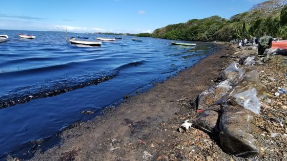 Protection du littoral : un consultant sera recruté