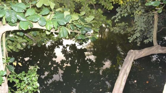 Rivière-des-Anguilles : les corps d’un infirmier et d’une infirmière repêchés dans une rivière 