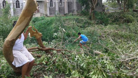 Rodrigues : des agriculteurs sinistrés auraient fait de fausses déclaration à la police