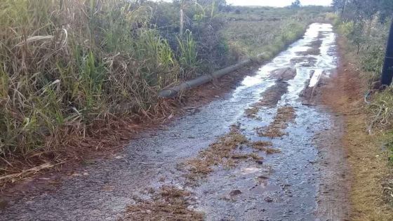 [En images] Des familles dans le Nord doivent emprunter cette rue qui est dans un sale état