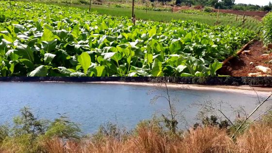 Quand la beauté de la vie rurale reprend ses droits…
