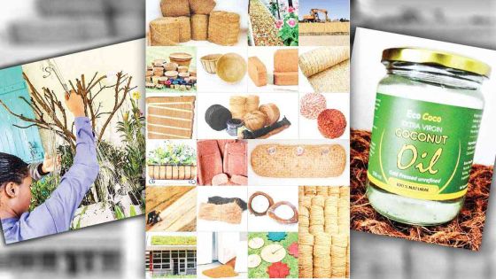 Ruvinya Ltd: Offering an eco-friendly alternative to plant growing