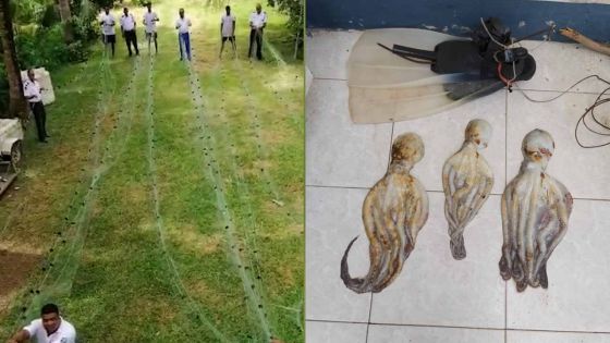 Pêche illégale : 125 mètres de filets saisis à Poste-Lafayette