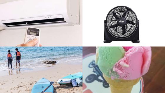 Commerce : ces activités dopées par la saison estivale