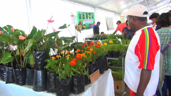 Salon de l’Agriculture : la journée de dimanche en images