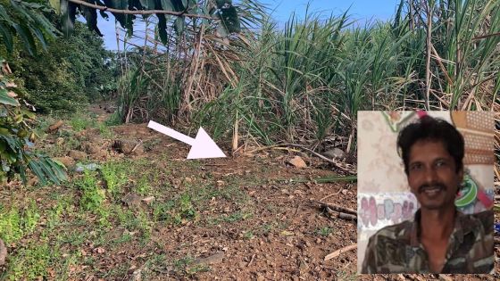 Meurtre de Sanjay Leckraj, 51 ans, à Surinam : une partie de beuverie vire au drame