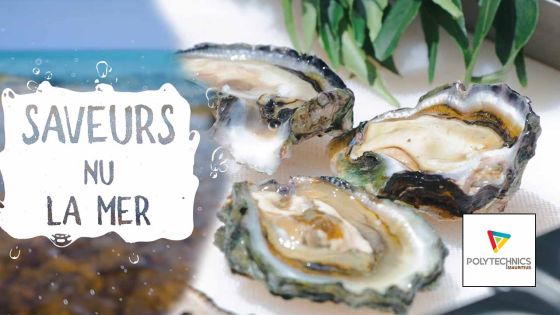 [Saveurs nu lamer] Recette d’huîtres gratinées à la sauce hollandaise 