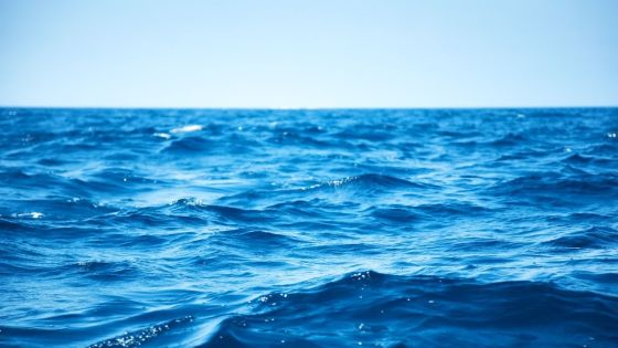 Drame à Flic-en-Flac : le corps d'un nourrisson de quatre mois repêché dans le lagon