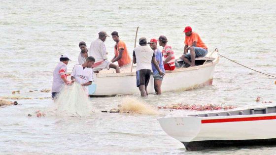 Seafood processing: Value-added products highly encouraged