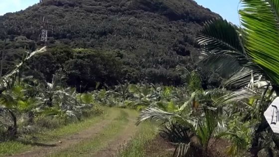 Accident de chasse mortel à Sébastopol : Jimmy Sophie devant la justice  