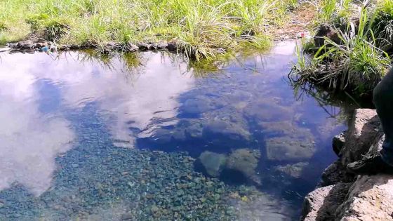 Alors que trois femmes se baignaient : deux adolescents enlevés pour être entrés dans l’eau