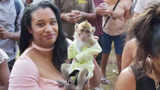 [Insolite] Radio Plus Beach Tour : un invité surprise...