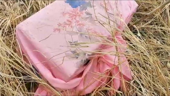 Le mystère d'un étrange «colis» résolu