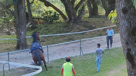 Warm Up : Matinée très animée au centre Guy Desmarais 