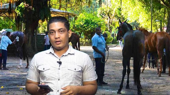 Warm Up : Flowerscape a repris du poils de la bête, Viking Trail se blesse