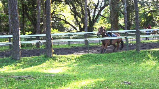 Padre Pio, crack annoncé, attire les regards