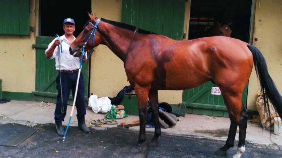 Plusieurs nouveaux en piste..