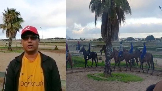 Les chevaux au travail à Milnerton