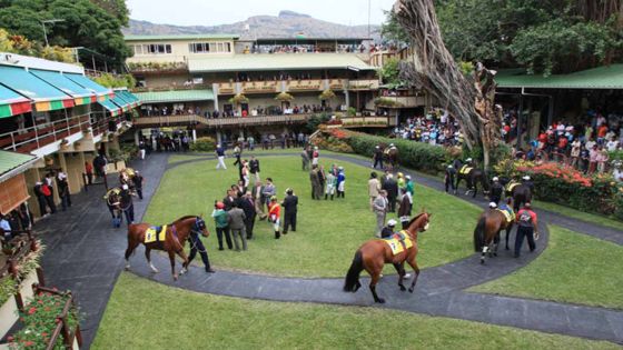 Bonjour Champ-de-Mars : White River splendide