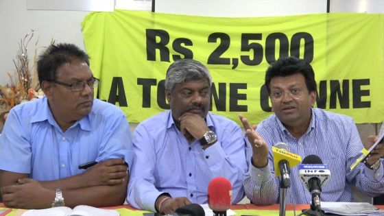 Mauritius Sugar Syndicate : une commission d’enquête réclamée par le mouvement des petits planteurs