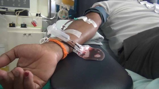 La Banque du Sang, comment ça marche ?