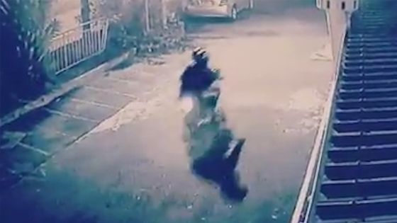 Graffitis sur des murs de sept lieux de culte : un suspect dans le viseur de la police