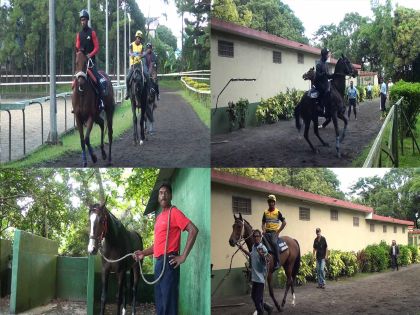 Ouverture de l'entraînement 2019