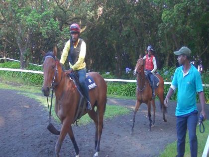 Nebula et White River attirent les regards...