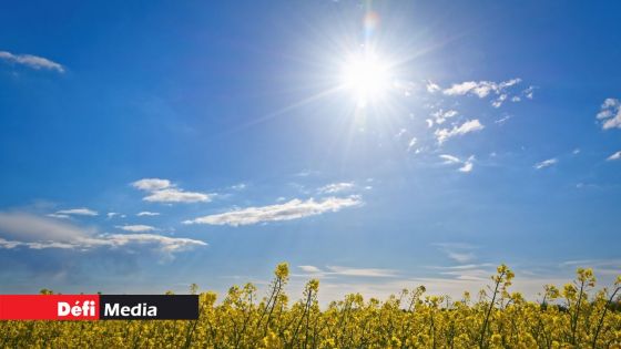 Météo : un début de semaine ensoleillé avec des températures au-dessus de la moyenne