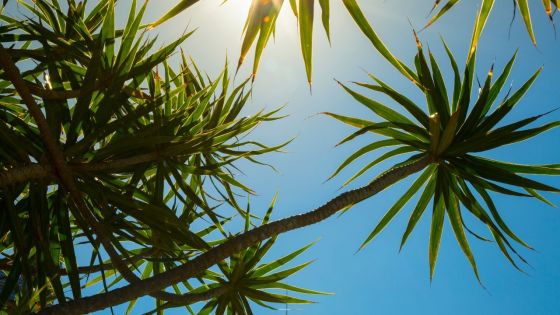 Prévisions météo pour ce mardi