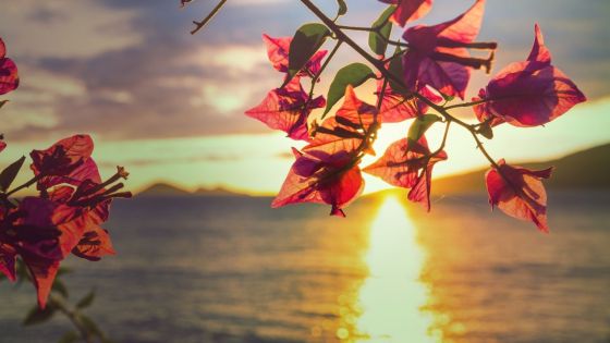 Prévisions météo pour ce vendredi