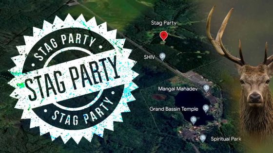 Stag Party : mieux comprendre toute l'affaire